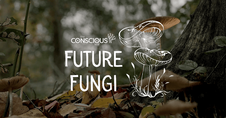 Future Fungi Mushroom Supplements