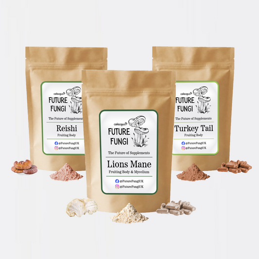 Bio Hack Pack - Lions Mane, Turkey Tail & Reishi 20% off!